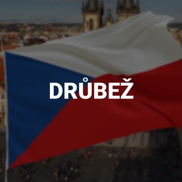 Čo znamená slovo drůbež?