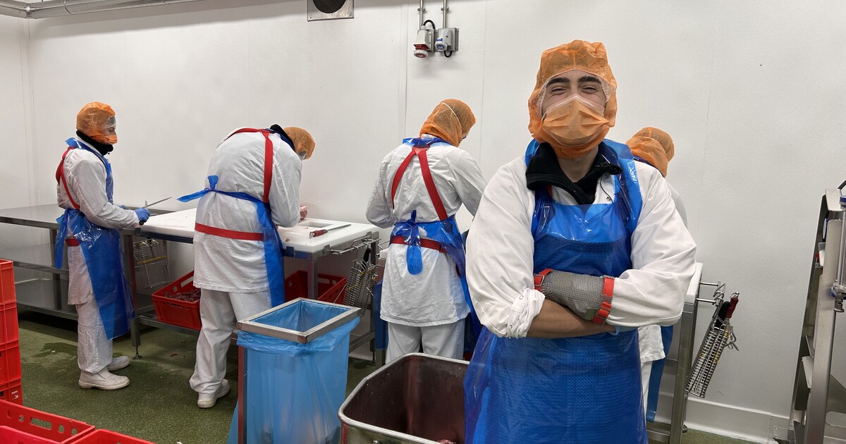 Tomáš studuje řezničinu. Pracuje ve 12 stupních Celsia a nosí drátěnou košili. „Je to náročný, to lidi odrazuje“