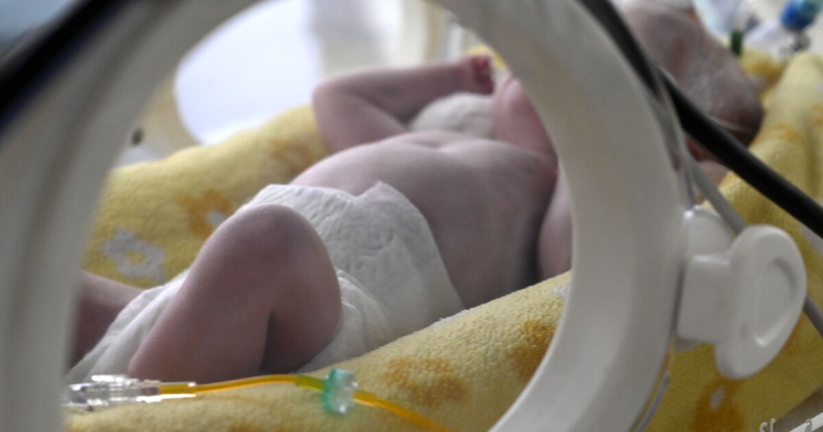 Světový den předčasně narozených dětí: V Česku se nedonošené miminko narodí každou hodinu