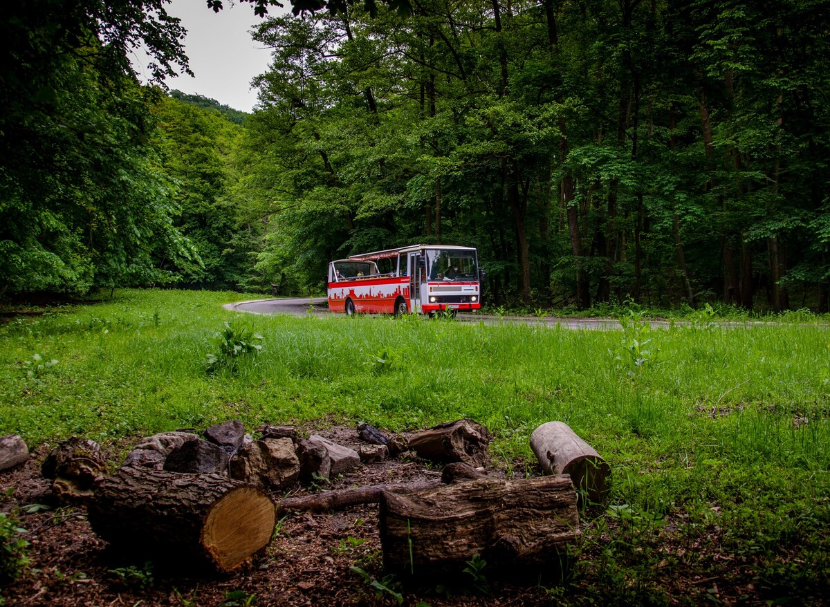 Kabrioautobus v bratislavskom lesoparku.