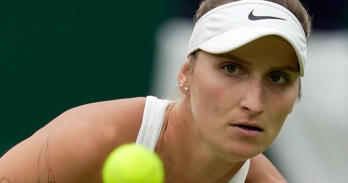 Wimbledon: Česko může triumfovat hned dvakrát! Do boje o titul jde kromě Vondroušové i Strýcová