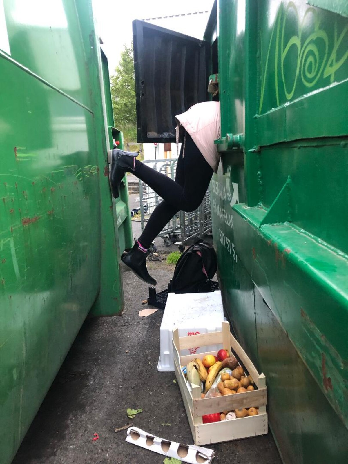 Dumpster diving na Islande.