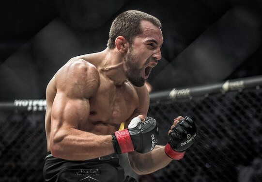 V ktorom roku vstúpil bojovník Ľudovít Klein ako prvý Slovák do UFC?