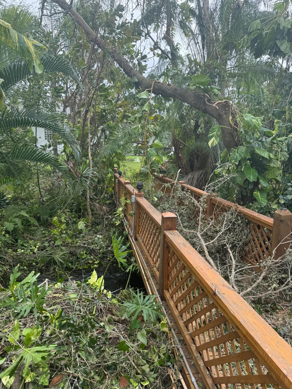 florida, amerika, hurikán
