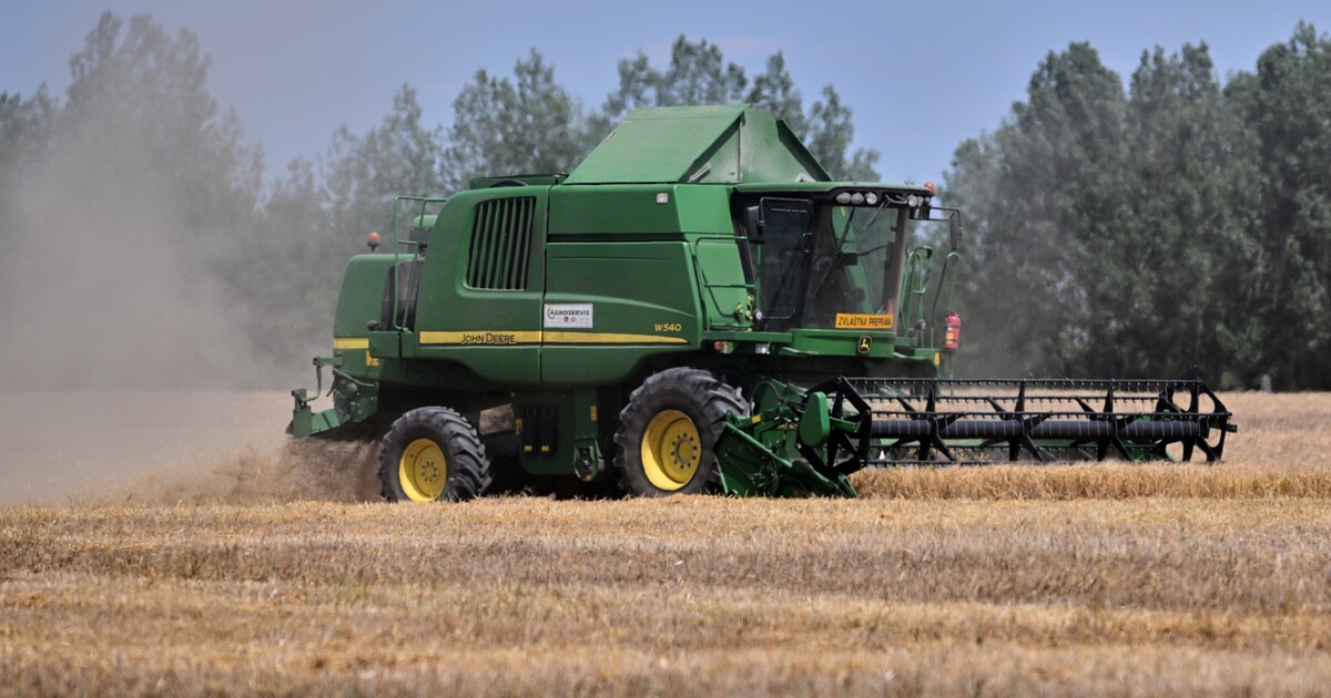 Slovensko zakázalo ukrajinské obilí, našly se v něm zakázané látky. Kontroly zemědělských produktů z Ukrajiny zavádí i Polsko