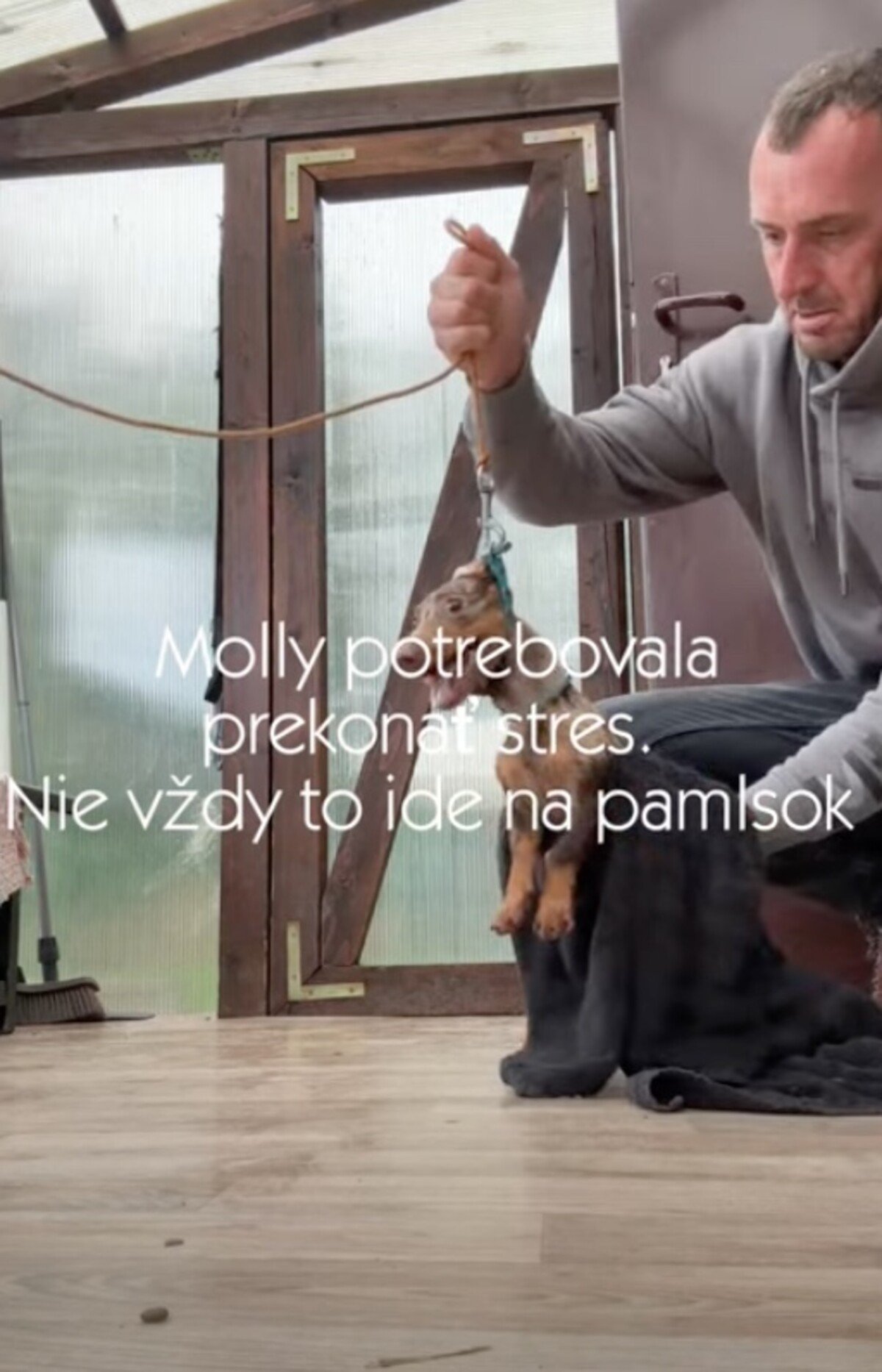 Prevýchova Molly.