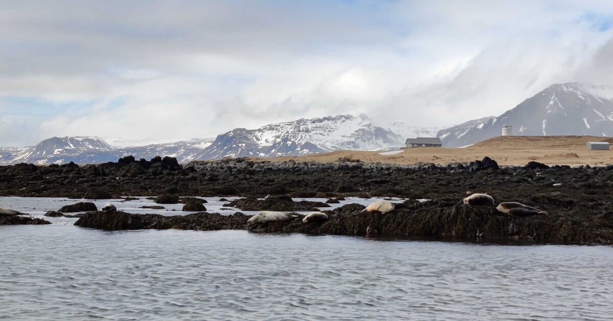 Na Islandu hledají lidi, co nemají zkušenost s focením. Zaplatí jim 10denní výlet a přidají milion k tomu