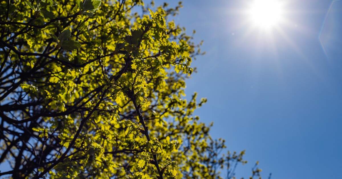 Předpověď na víkend: Návrat teplejšího počasí, noci budou ale nadále chladné