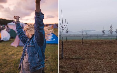 Grape sa možno presunie do Trnavy do nového areálu Štrky. Spolu s ním aj ďalšie festivaly.