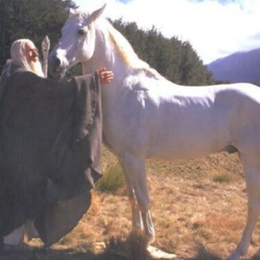 Dle Legolase je Gandalfův kůň Shadowfax jeden z
