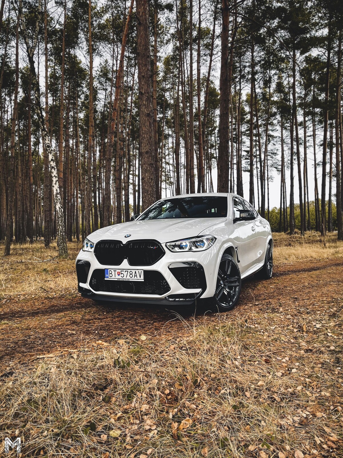 BMW, X6 M,