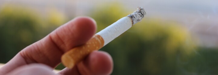 Rakousko zakázalo kouření v restauracích. Zákon začne platit od listopadu