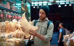 5 tvrzení z filmu Seaspiracy, která režisér přibarvil, aby u lidí vyvolal pocity viny a přesvědčil je, aby přešli na veganství