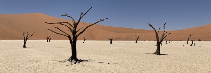 V Namíbii môžete ísť safari úplne sami bez sprievodcov. Ako sa dá do tejto africkej krajiny dostať?