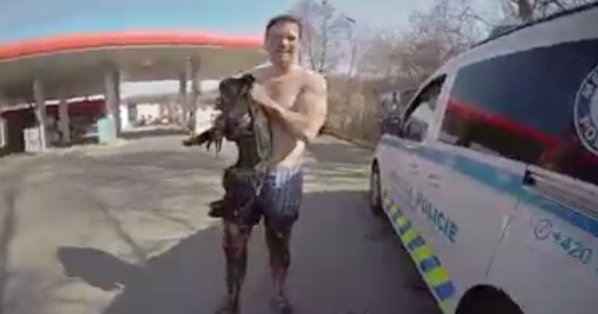 VIDEO: Strážník sundal uniformu a skočil pro psa uvíznutého v bahně