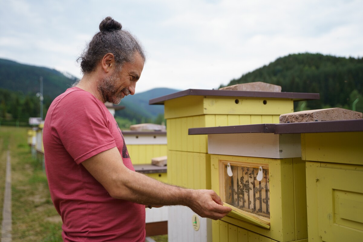Jannis Samaras sa zaujíma o včely. 