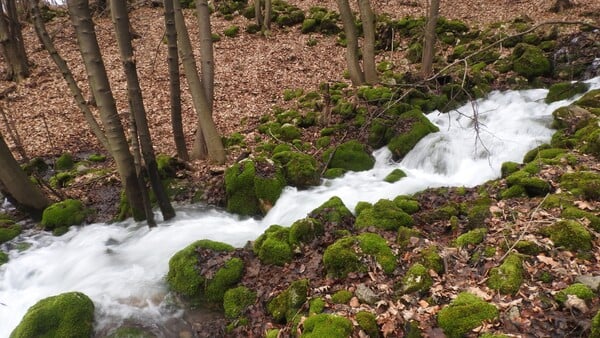 Koľko je na Slovensku registrovaných prameňov minerálnych vôd?