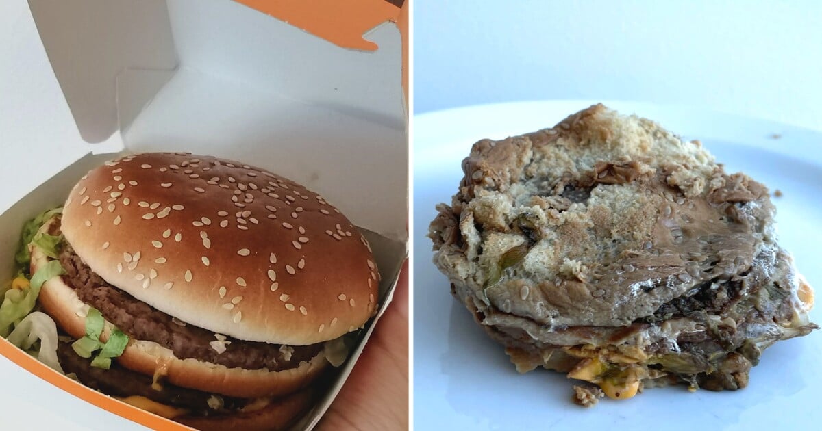 Měsíc jsme skladovali burgery ze známých fastfoodů, abychom zjistili, jestli se objeví plíseň. Takhle nás překvapil Big Mac