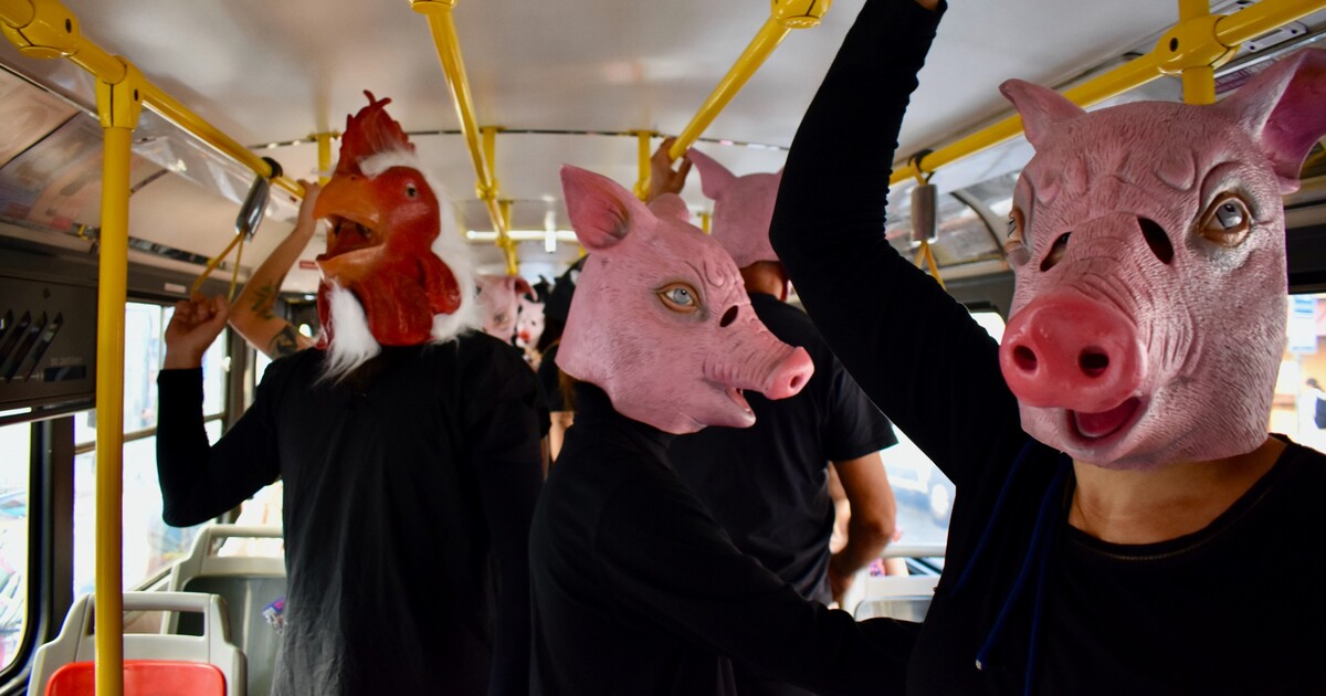 OBRAZEM: Peklo jménem transporty. V pražské MHD se lidi převlékli za prase i slepice