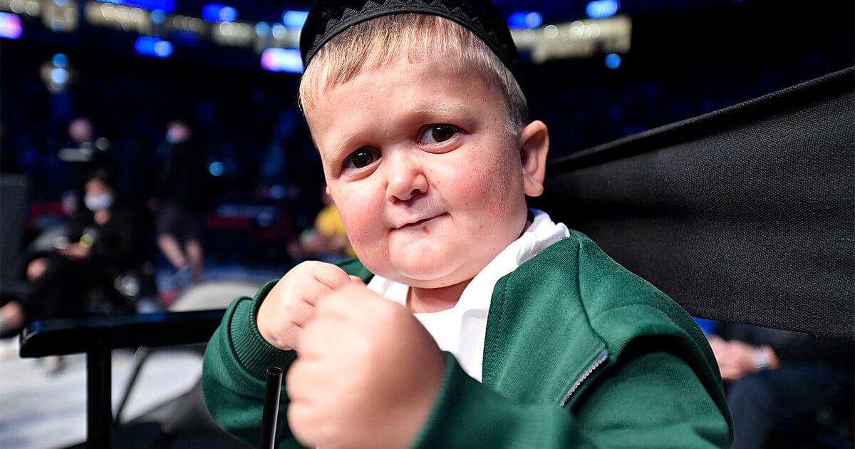 Virální video: Hasbulla Magomedov týrá svou kočku