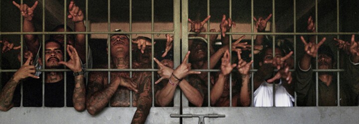 Mara Salvatrucha - Gang potetovaných zločinců neznajících slitování