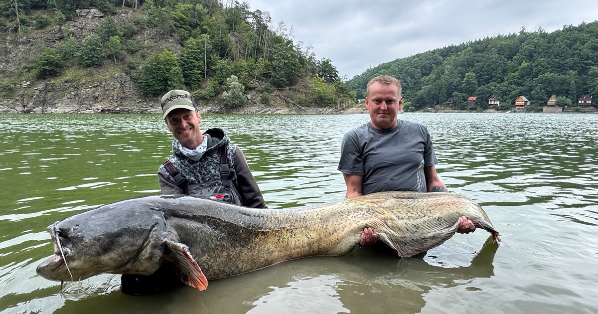 Nejznámější český rybář chytil jednoho z největších tuzemských sumců všech dob