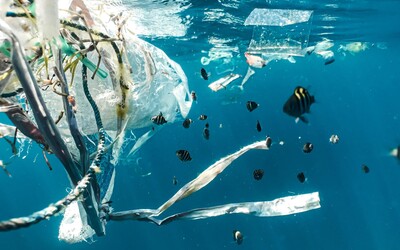 Ak ľudstvo nezmení súčasné návyky, do roku 2040 bude v oceánoch viac plastov ako rýb.