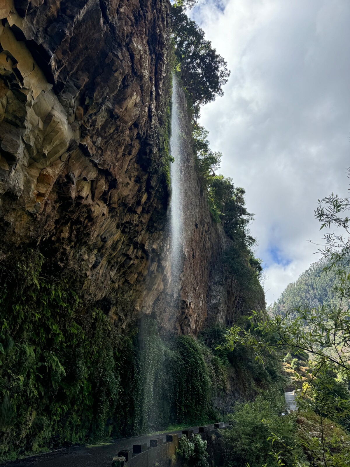 madeira, presstrip