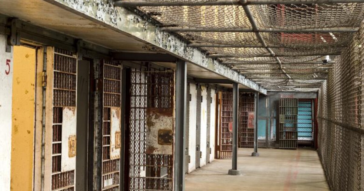 V Japonsku popravili „vraha z Twitteru“. Zabil a rozčtvrtil devět lidí, které si našel online