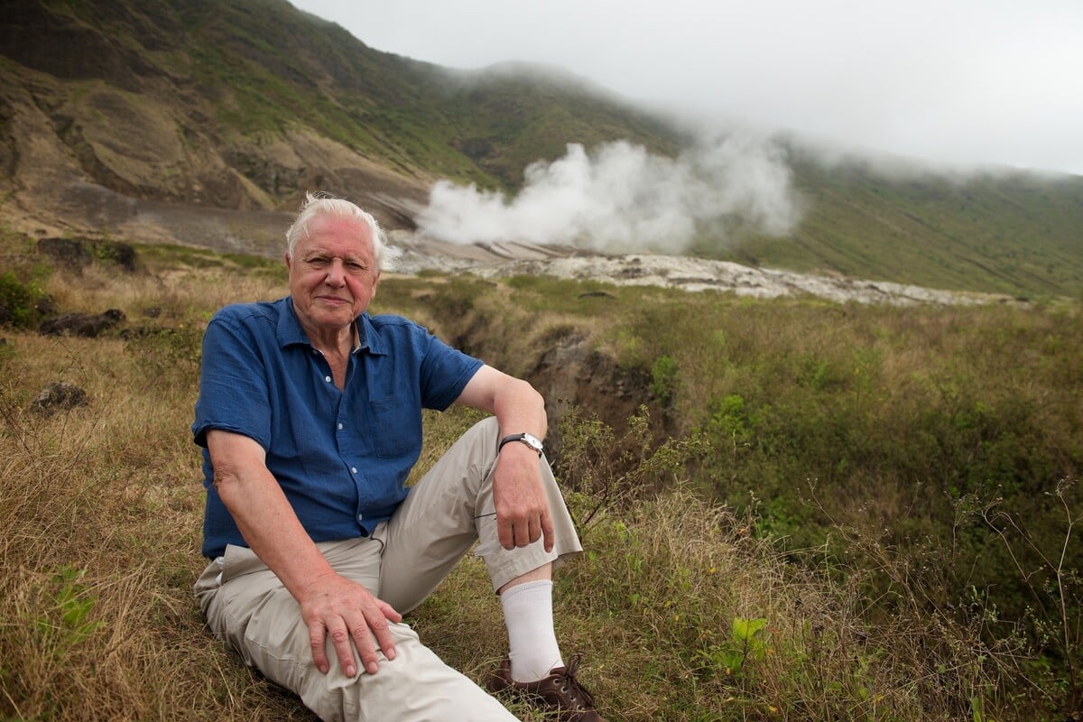 David Attenborough