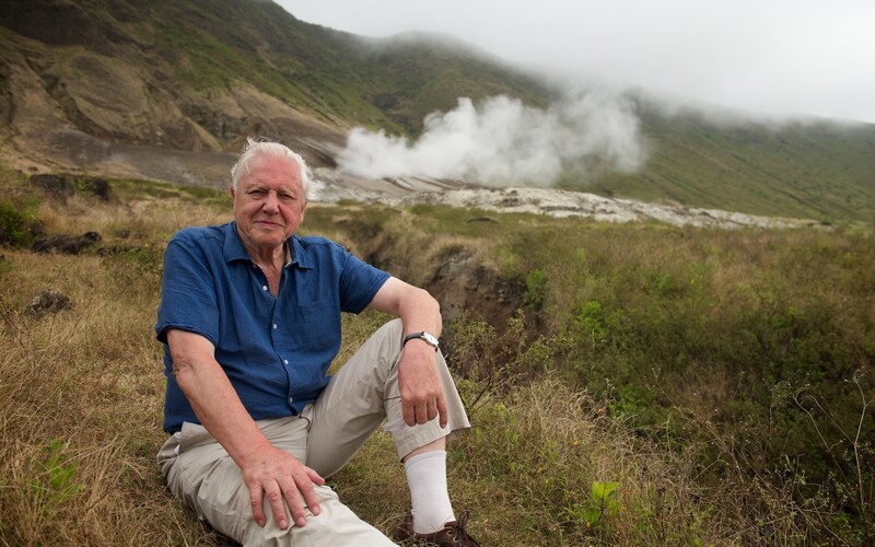 David Attenborough zakončil posledný diel dokumentárnej série srdcervúcou prosbou. Je možno poslednou, myslia si fanúšikovia.