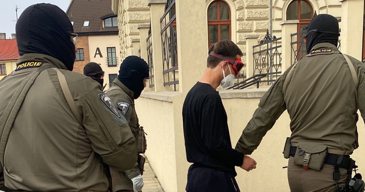 Údery do hlavy a bodné rány do hrudníku. Policisté po roce objasnili brutální vraždu z Plzně