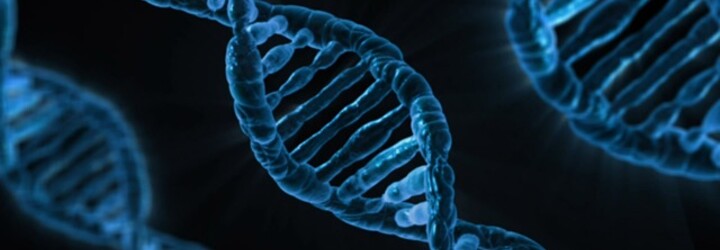 Jsou nejmladší děti nejméně inteligentní?