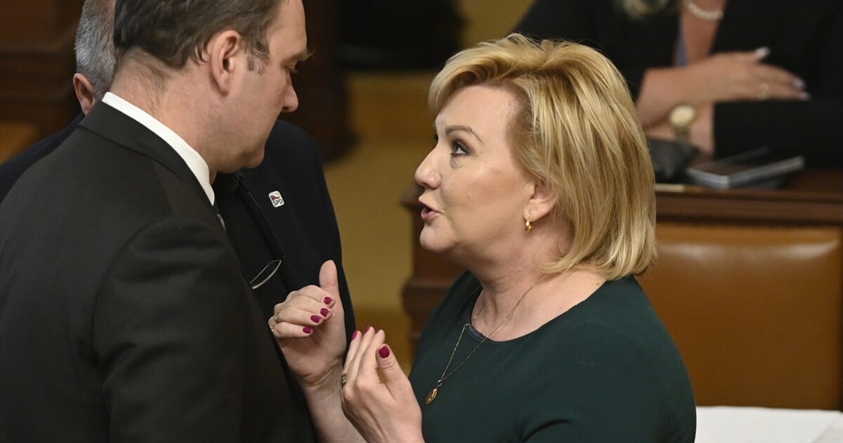 Spacák Aleny Schillerové a Okamurův nákupní seznam: Sleduj živě obstrukce ve Sněmovně