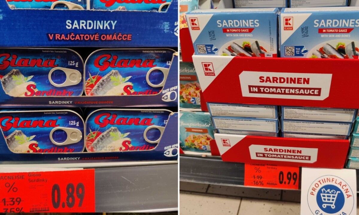 sardinky