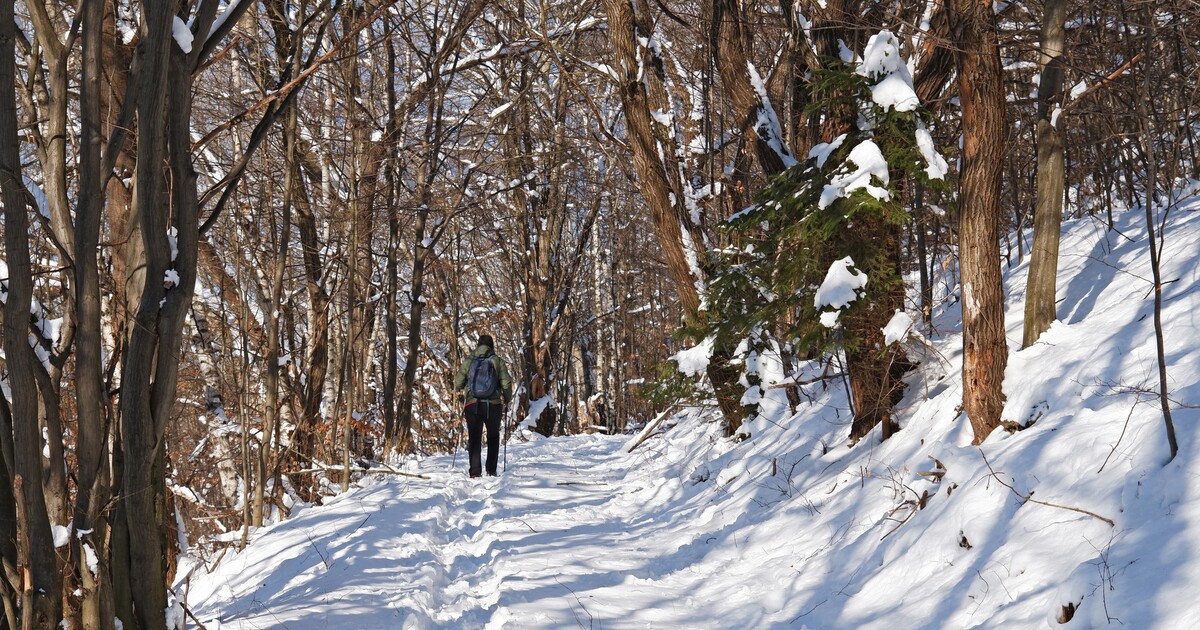Předpověď počasí: Česko čeká další ochlazení. Kdy bude sněžit?