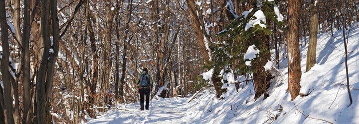 Počasí na víkend: Na většině míst v Česku bude sněžit, na horách i vydatněji 