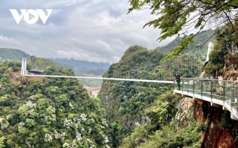 Nejdelší most s proskleným dnem na světě. Bach Long ve Vietnamu tě dostane 95 metrů nad zem.