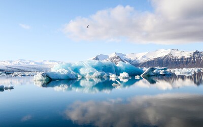 V Arktidě bylo naměřeno 38°C. Ohřívá se dvakrát rychleji, než je světový průměr.