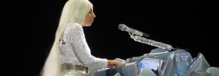 Prípad únosu psov Lady Gaga sa posúva: zatkli 5 ľudí vrátane ženy, ktorá psy odovzdala polícii