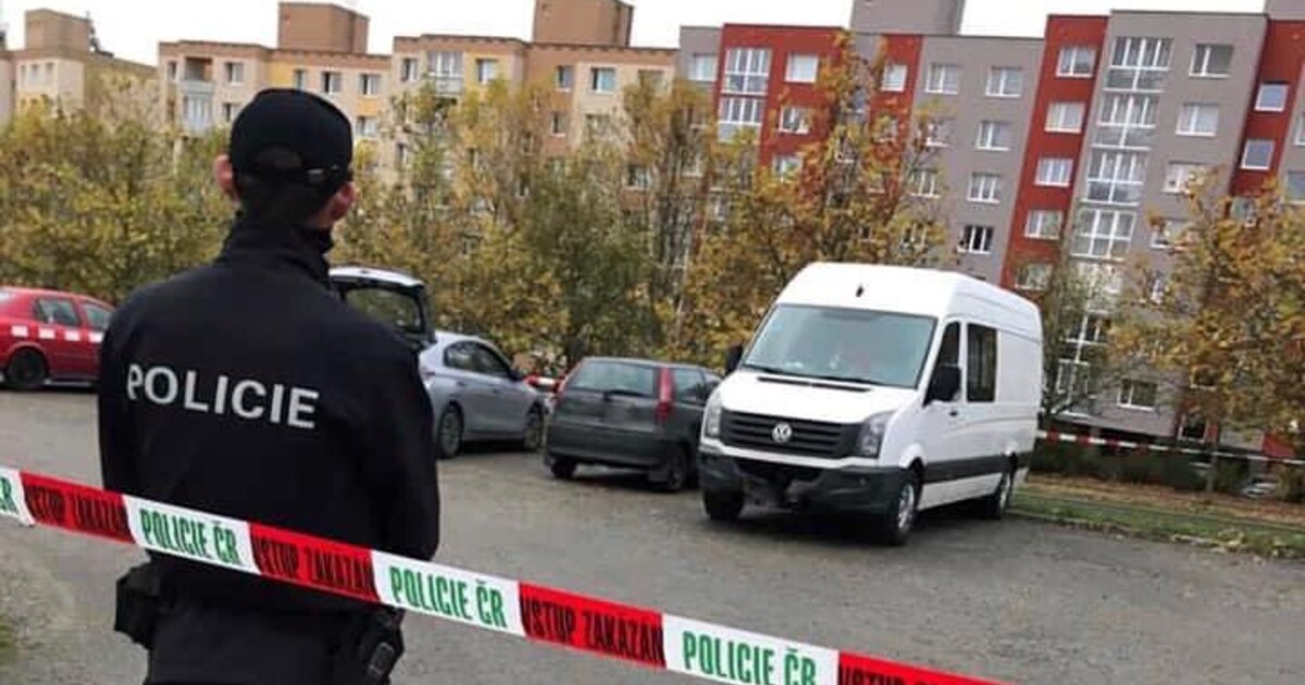 Muž v Karlových Varech vyhodil svého psa z pátého patra, pád nepřežil. „Nešťastná náhoda,“ tvrdí