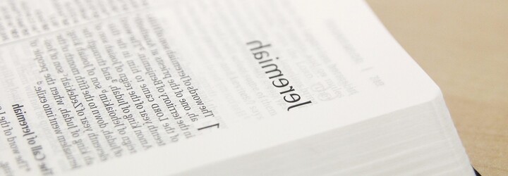 Staré telefonní budky v Praze se přetvořily v Knihobudky. Každý sem může přinést nebo si vzít jakoukoli knihu