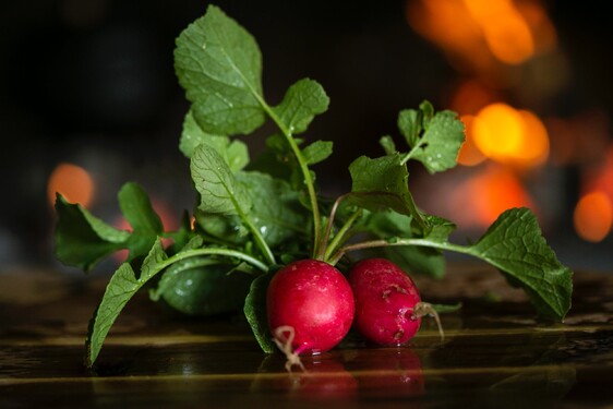 Musíš si vybrat. Kterou z těchto ingrediencí přimícháš?