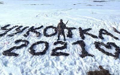 Lovec v Rusku sa vyfotil s nápisom Čukotka 2021 vytvoreným zo 150 mŕtvych operencov. Denník Novaja Gazeta naňho vypísal odmenu.