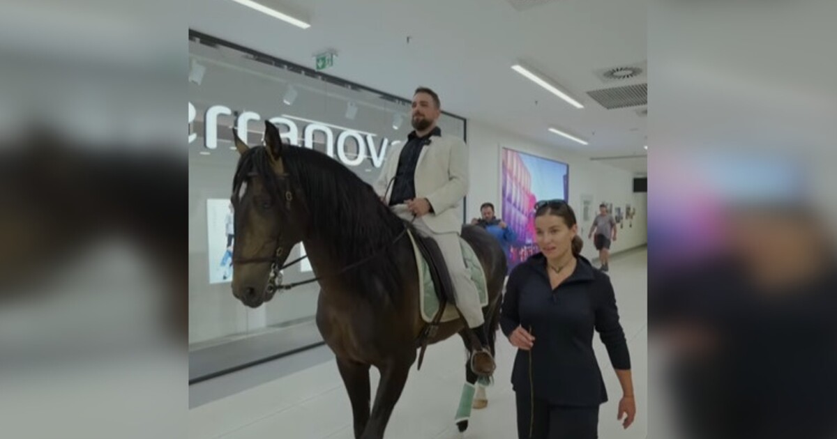 VIDEO: Muž v Českých Budějovicích přijel na koni do nákupního centra, aby požádal partnerku o ruku