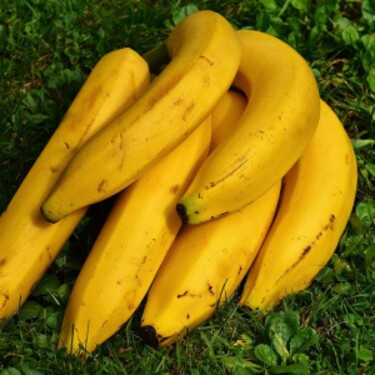 Urči správnu priemernú cenu 1 kg banánov