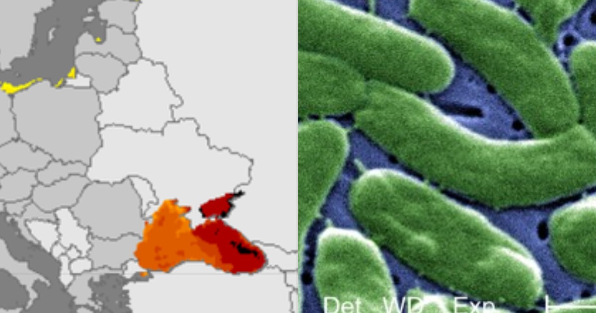 MAPA: V těchto místech se šíří nebezpečné bakterie z moře. Podívej se, kde je situace nejkritičtější