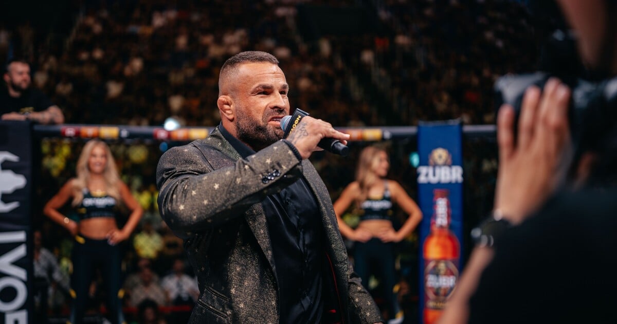 Drama ve Vémolandu: Odstraněné drápy a nelegální původ lvice zaměstnávají úřady