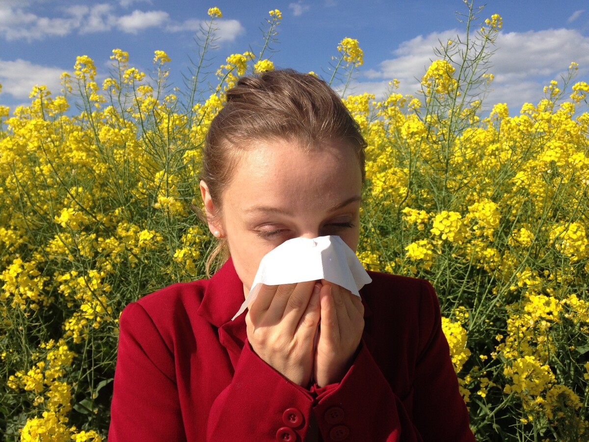 pyl alergie