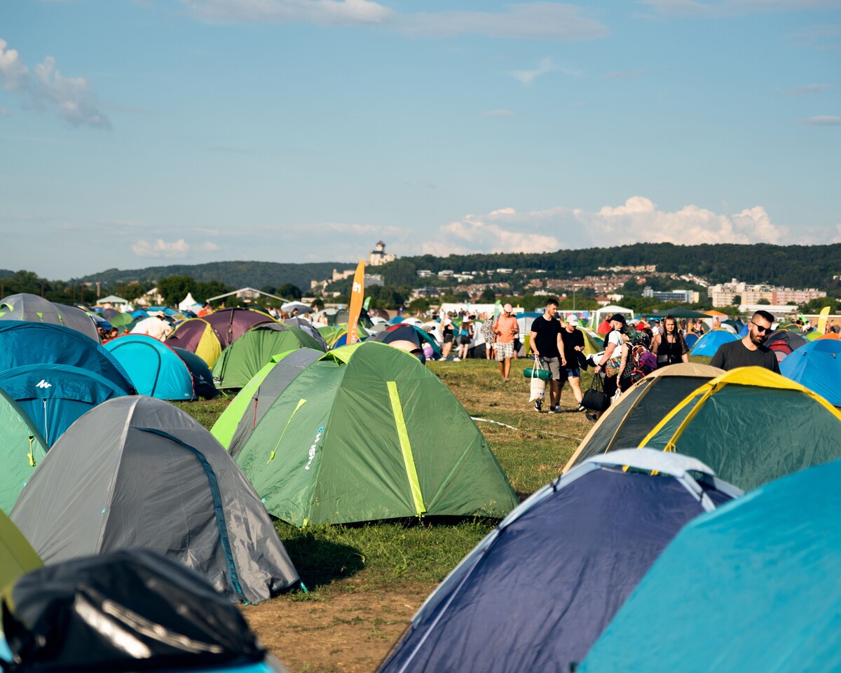 Grape festival 2022